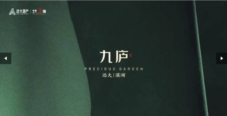 大九庐项目发布：掀起购房热潮pg电子免费