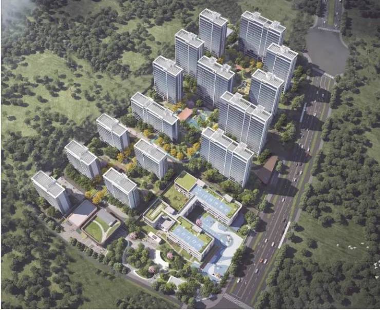 大九庐项目发布：掀起购房热潮pg电子免费模拟器聚焦合肥远(图2)